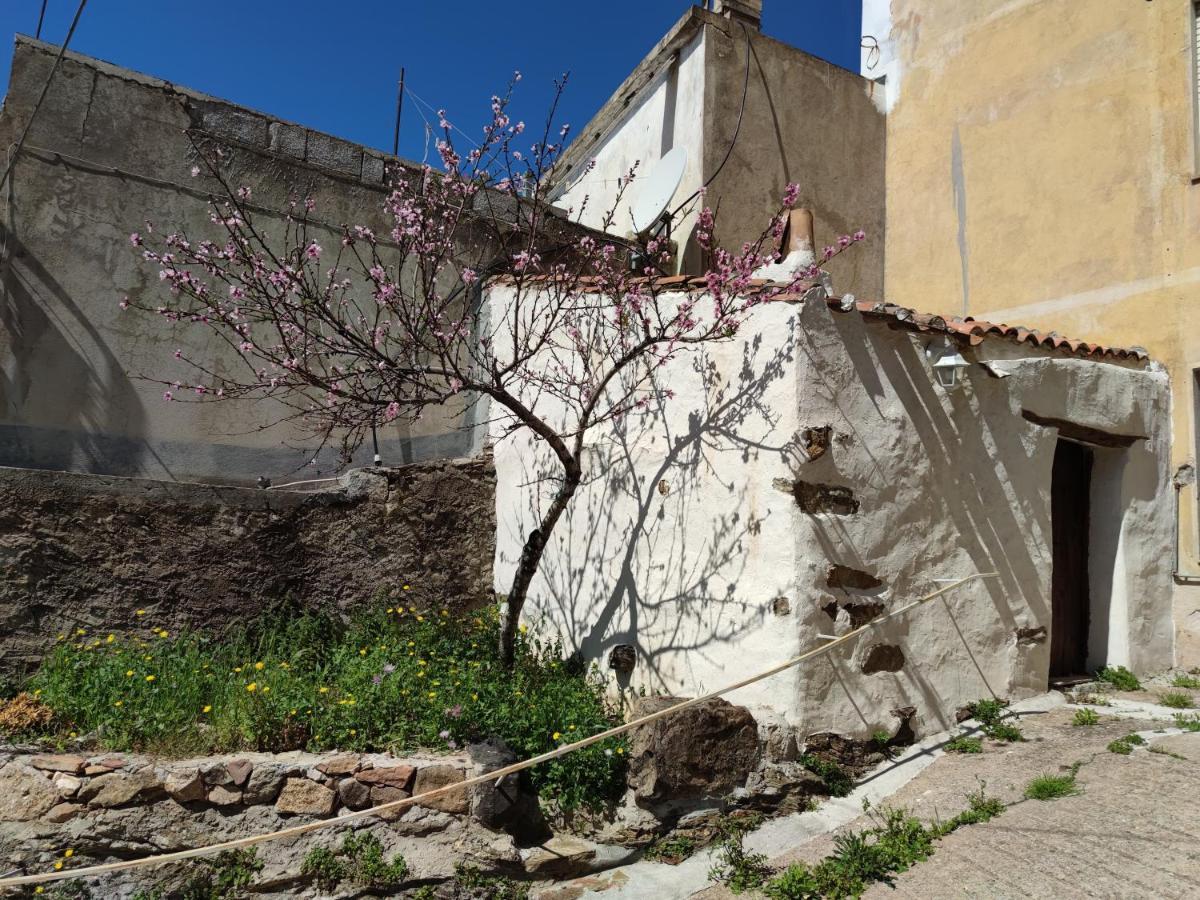 Sa Dommu 'e su coro Triei Exterior foto